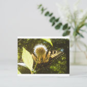 Juni-Monarch Postkarte (Stehend Vorderseite)