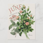 Juni-Monatsblumen Geißblatt Rose Beige Postkarte (Vorderseite)