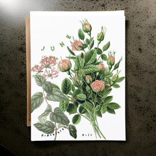 Juni-Monatsblumen Geißblatt Rose Postkarte