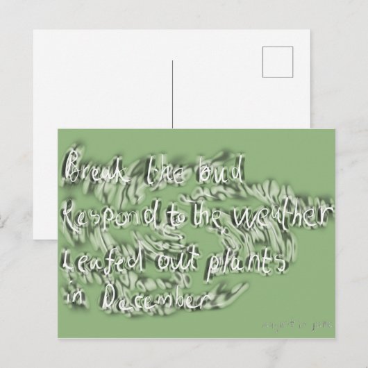 juni postkarte (Vorne/Hinten)