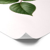 Juni-Rosen-Blumen Poster (Ecke)