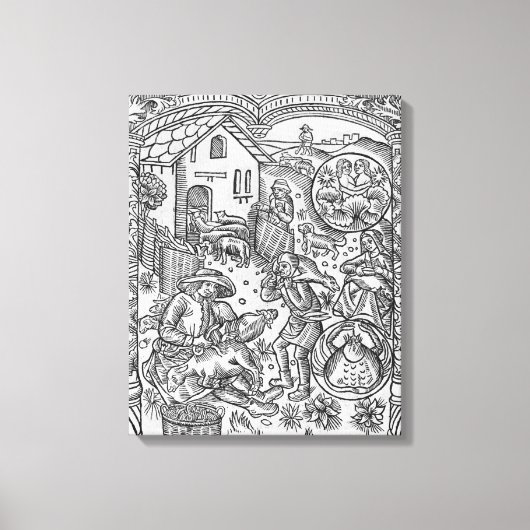 Juni, Schafscheren, Gemini Leinwanddruck (Vorderseite)