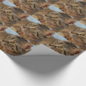 Juni-Wanze Geschenkpapier (Ecke)