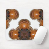 Juni-Wanzen-Ansammlung durch KLM Mousepad (Mit Mouse)