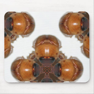 Juni-Wanzen-Ansammlung durch KLM Mousepad