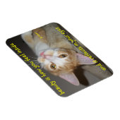 Junior-Beauty-Magnet Magnet (Rechte Seite)