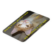 Junior-Beauty-Magnet Magnet (Linke Seite)