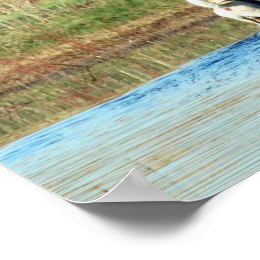 Junior Hunter Poster (Ecke)