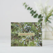 Junior Landschaftsbild Geschäftsreisekarte Feiertagskarte (Stehend Vorderseite)