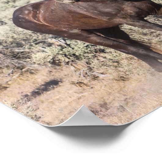 Junior Poster (Ecke)