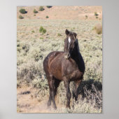 Junior Poster (Vorne)