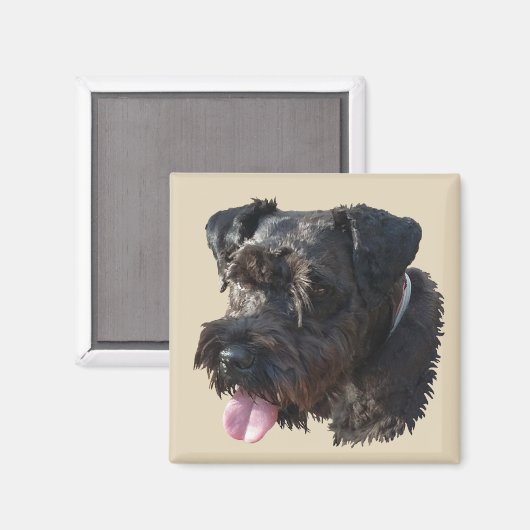 Junior The Schnauzer, Magnet (Vorderseite/Rückseite)