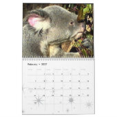 Juniorkoala-Kalender Kalender (Feb 2027)