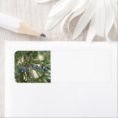 Juniper Berry Address Labels (Insitu)