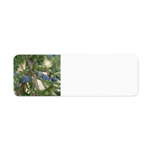 Juniper Berry Address Labels (Vorne)