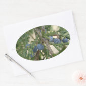 Juniper Berry Stickers (Umschlag)