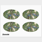 Juniper Berry Stickers (Blatt)