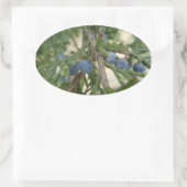 Juniper Berry Stickers (Tasche)