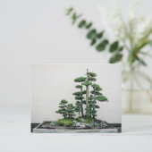 Juniper Bonsai Forest Postkarte (Stehend Vorderseite)