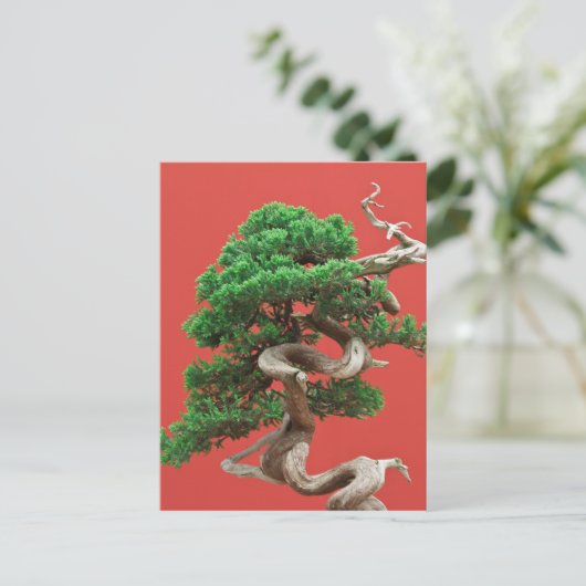 Juniper Bonsai Postkarte (Stehend Vorderseite)