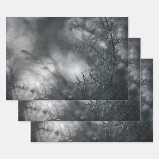 Juniper Floral Nature Foto Geschenkpapier Set (Set)