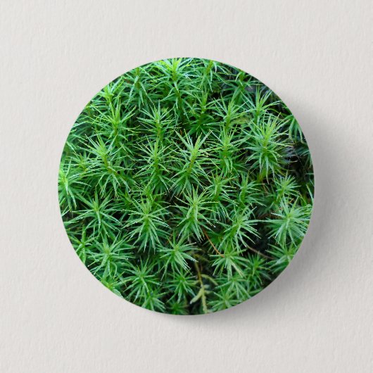 Juniper Hair Cap Moss Abzeichen Button (Vorderseite)