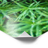 Juniper Hair Cap Moss Fotodruck (Ecke)