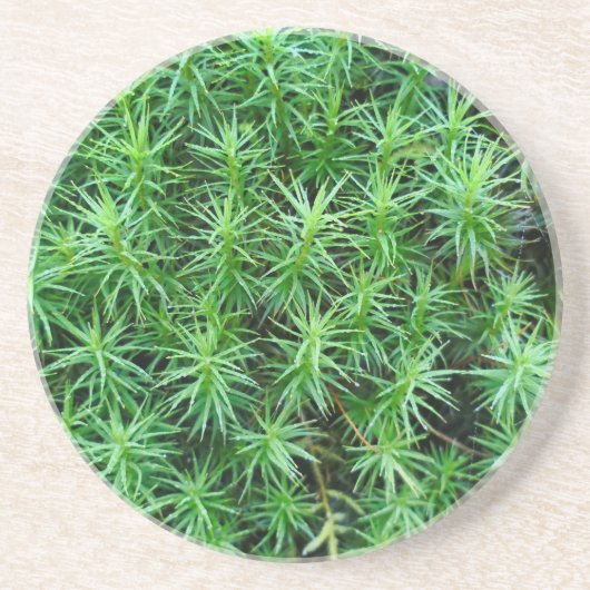 Juniper Hair Cap Moss Getränkeuntersetzer (Vorne)