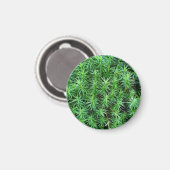 Juniper Hair Cap Moss Magnet (Vorderseite/Rückseite)