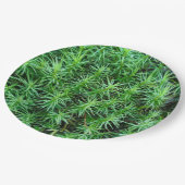 Juniper Hair Cap Moss Papierplatte Pappteller (Schrägansicht)