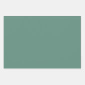 Juniper & Mint Wrapping Paper Flat Sheet Set of 3 Geschenkpapier Set (Vorderseite 2)