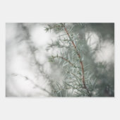 Juniper Nature Foto Geschenkpapier Set (Vorderseite 2)