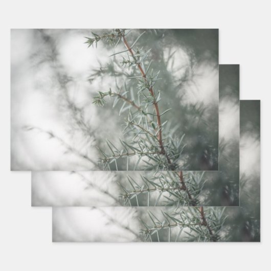 Juniper Nature Foto Geschenkpapier Set (Set)