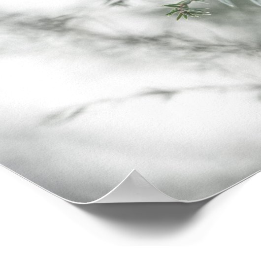 Juniper Nature Foto Poster (Ecke)