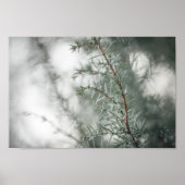 Juniper Nature Foto Poster (Vorne)