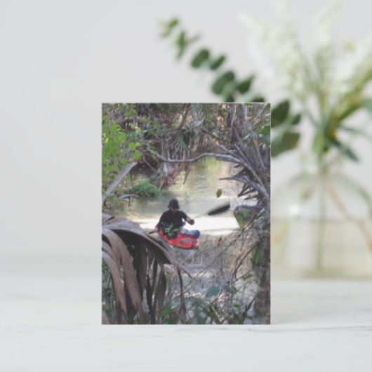 Juniper Springs, Fl Postkarte (Stehend Vorderseite)