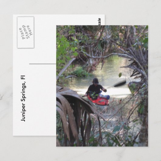 Juniper Springs, Fl Postkarte (Vorne/Hinten)