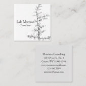 Juniper Tree Branch Pen Tinte Zeichnend Schwarz-we Quadratische Visitenkarte (Vorne/Hinten)