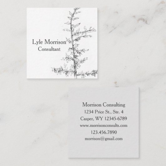 Juniper Tree Branch Pen Tinte Zeichnend Schwarz-we Quadratische Visitenkarte (Vorne/Hinten)