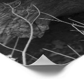 Juniper Trunk Poster (Ecke)