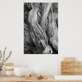 Juniper Trunk Poster (Küche)