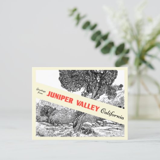 Juniper Valley Gift Shop Postkarte (Stehend Vorderseite)