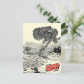 Juniper Valley Wilderness - Postcard Postkarte (Stehend Vorderseite)