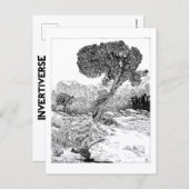 Juniper Valley Wilderness - Postcard Postkarte (Vorne/Hinten)