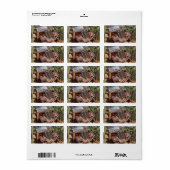 Junk-Auto Adressaufkleber (Vorne)