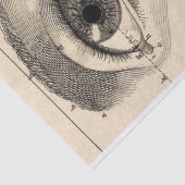 Junk Journal Anatomie-Elemente-Blatt Seidenpapier (Detail)