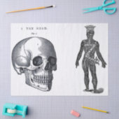 Junk Journal Anatomie-Elemente-Blatt Seidenpapier (Basteln)
