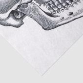 Junk Journal Anatomie-Elemente-Blatt Seidenpapier (Detail)