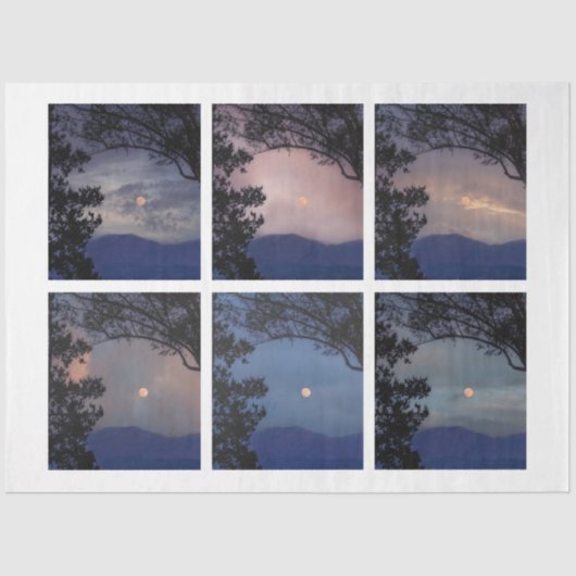 Junk Journal Fee Skies Moon Trees Fantasy 19-24 Seidenpapier (Vorderseite)