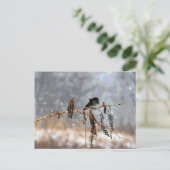 Junko im Schnee Postkarte (Stehend Vorderseite)